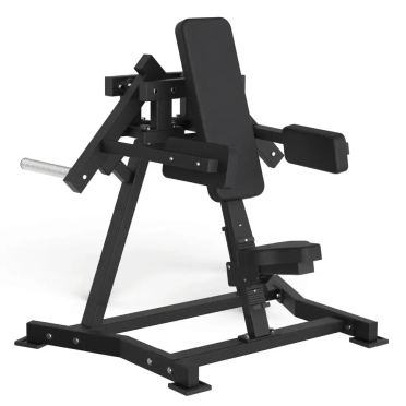 Toorx Professional AVANT FWX-6500 Lateral Raise 